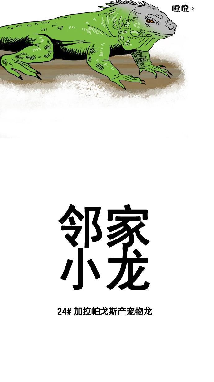 邻家小龙韩漫全集-[第24话] 加拉帕戈斯产宠物龙无删减无遮挡章节图片 