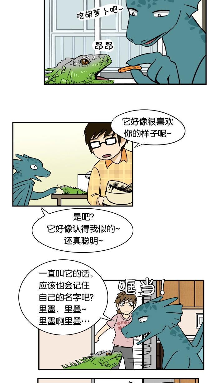 邻家小龙韩漫全集-[第24话] 加拉帕戈斯产宠物龙无删减无遮挡章节图片 
