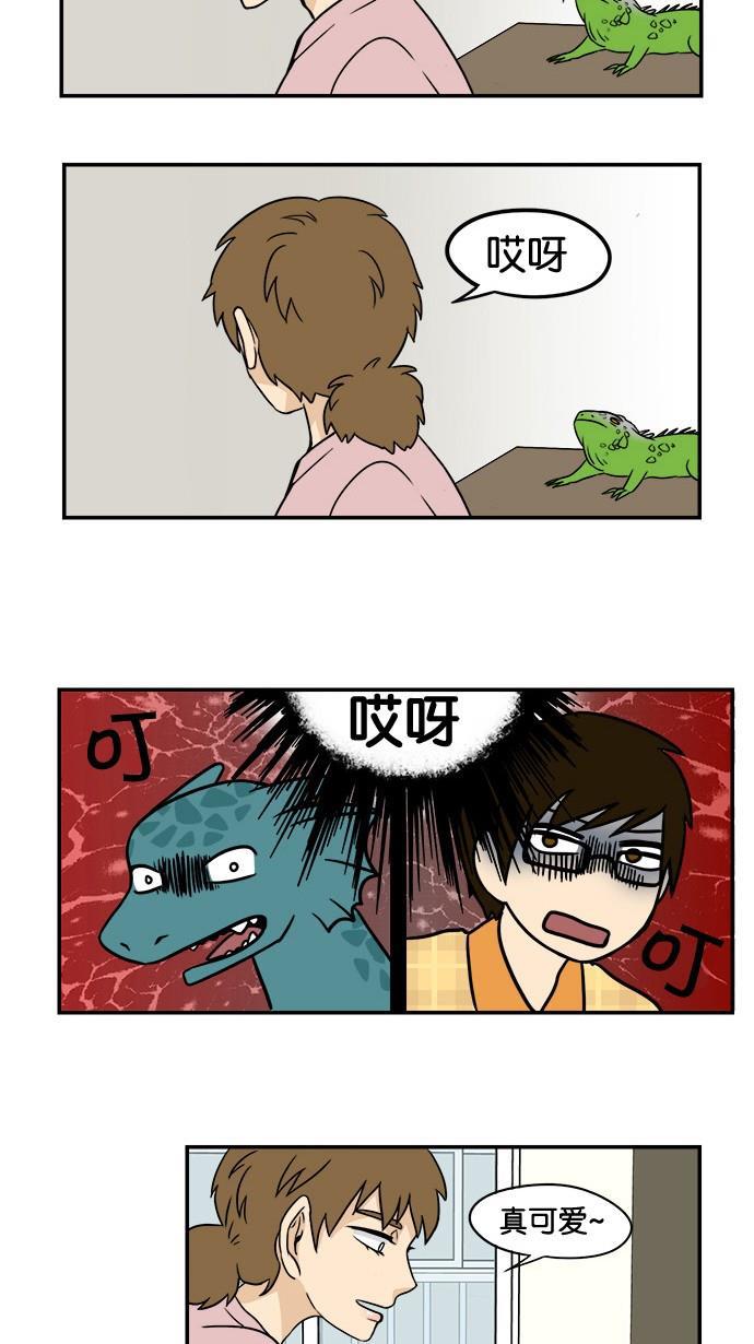 邻家小龙韩漫全集-[第24话] 加拉帕戈斯产宠物龙无删减无遮挡章节图片 
