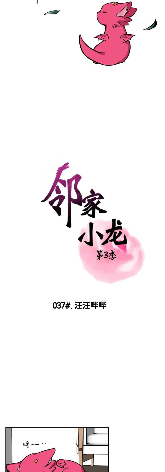 邻家小龙韩漫全集-[第3季] 第37话 汪汪哔哔无删减无遮挡章节图片 