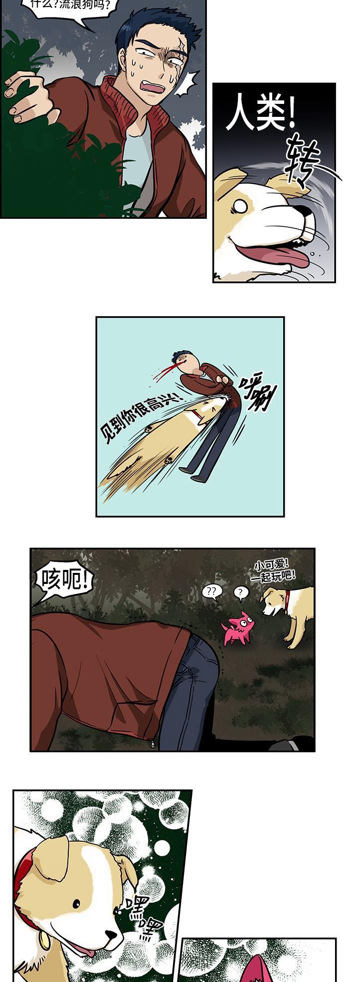邻家小龙韩漫全集-[第3季] 第37话 汪汪哔哔无删减无遮挡章节图片 