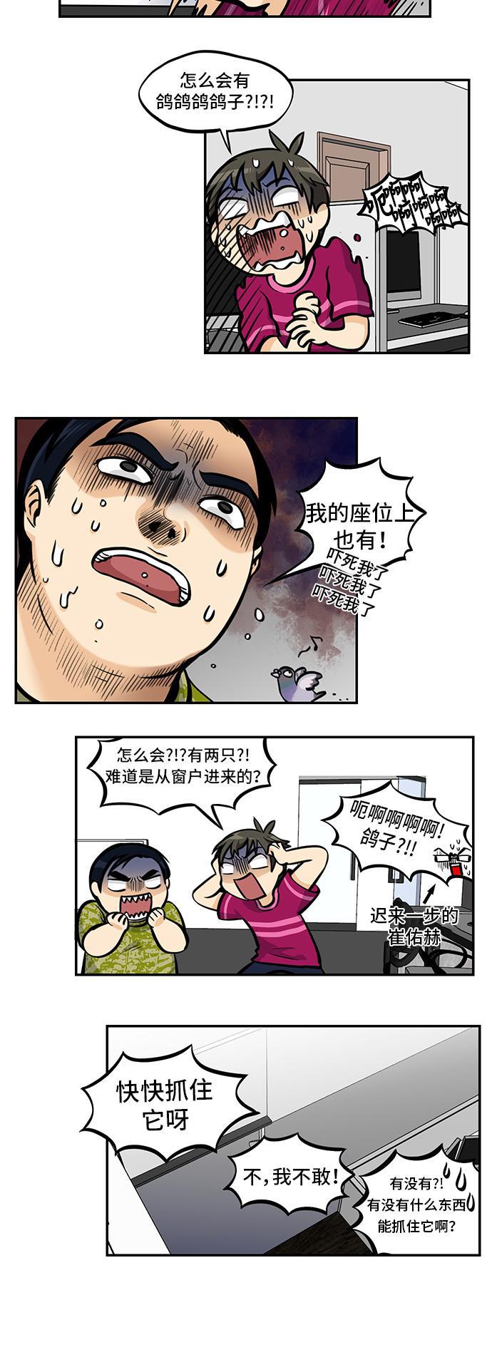邻家小龙韩漫全集-[第4季] 第38话 比比鸟舍身冲撞无删减无遮挡章节图片 