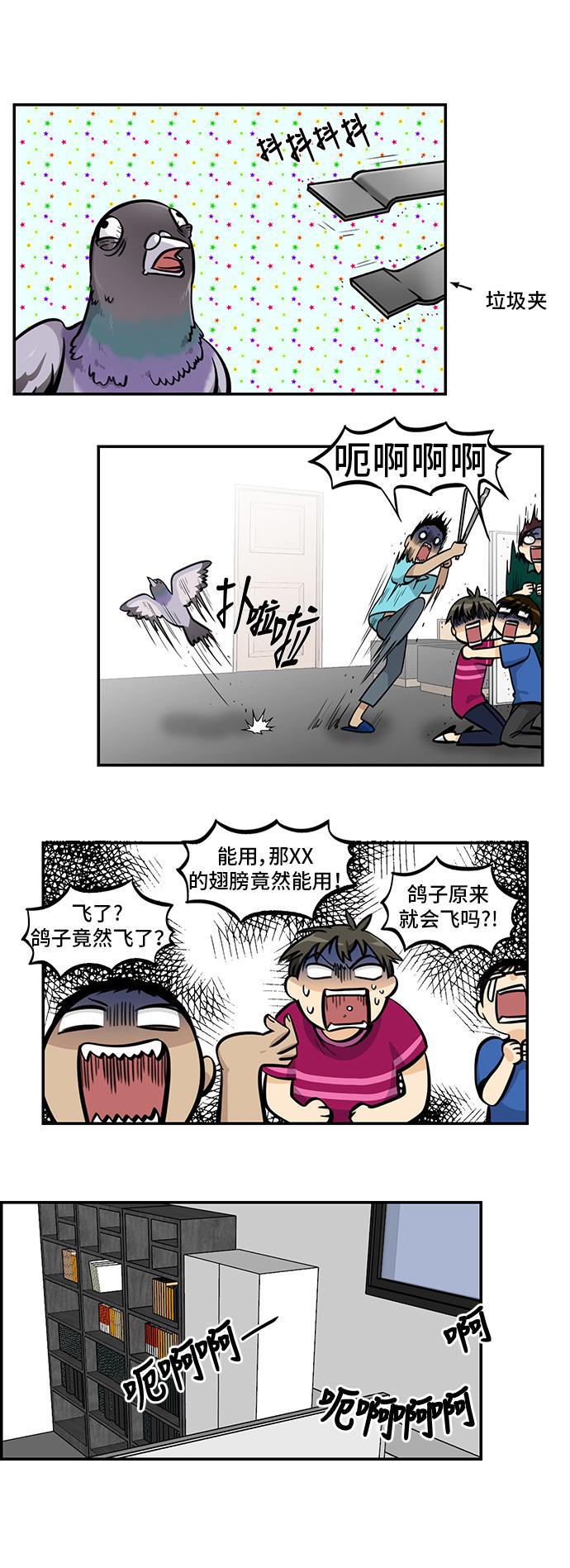 邻家小龙韩漫全集-[第4季] 第38话 比比鸟舍身冲撞无删减无遮挡章节图片 