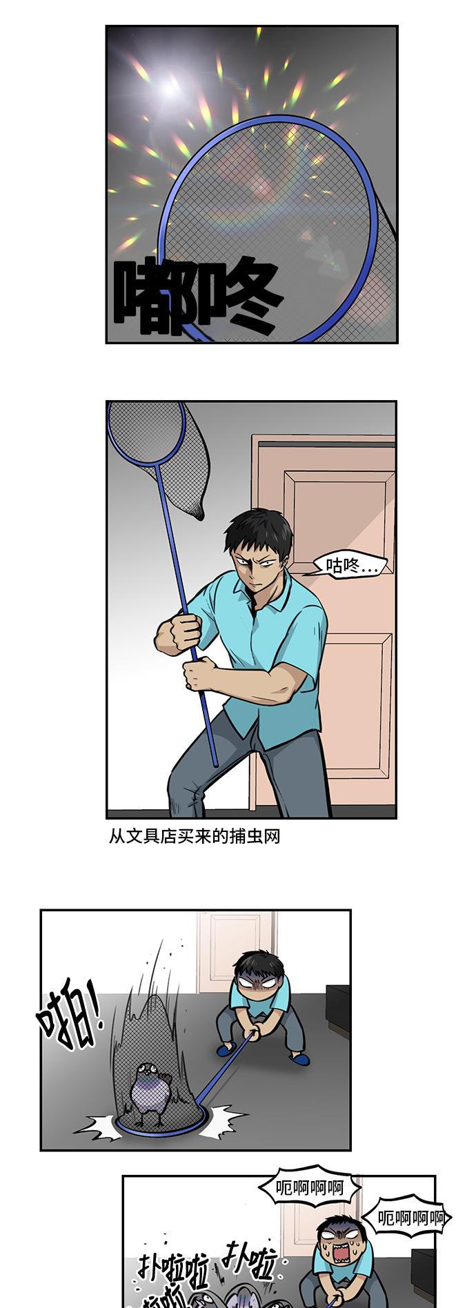 邻家小龙韩漫全集-[第4季] 第38话 比比鸟舍身冲撞无删减无遮挡章节图片 
