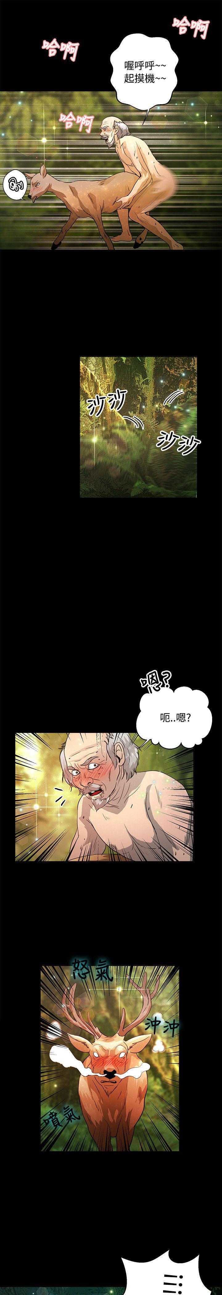 丛林爱爱法则韩漫全集-最终话无删减无遮挡章节图片 