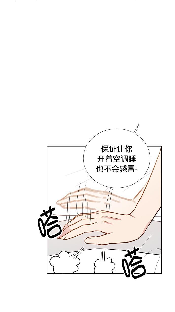 杀戮天使漫画-第62话全彩韩漫标签