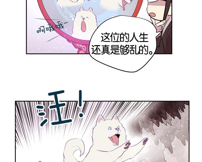 两界双星韩漫全集-第13话无删减无遮挡章节图片 