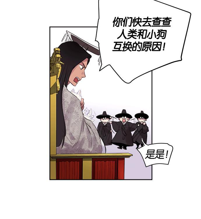 两界双星韩漫全集-第13话无删减无遮挡章节图片 