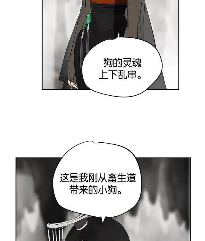 两界双星韩漫全集-第14话无删减无遮挡章节图片 