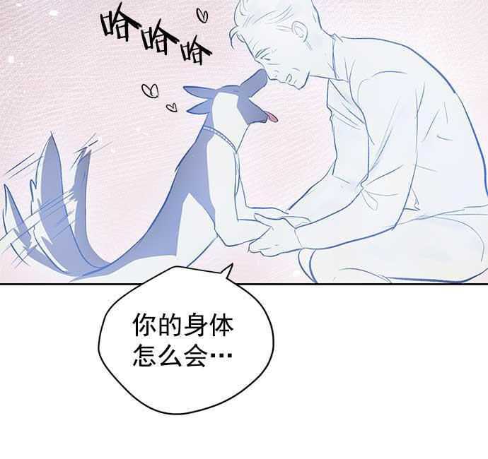 两界双星韩漫全集-第31话无删减无遮挡章节图片 