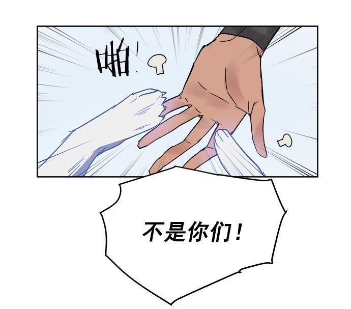 两界双星韩漫全集-第33话无删减无遮挡章节图片 