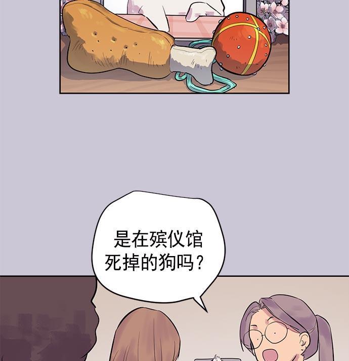 两界双星韩漫全集-第22话无删减无遮挡章节图片 