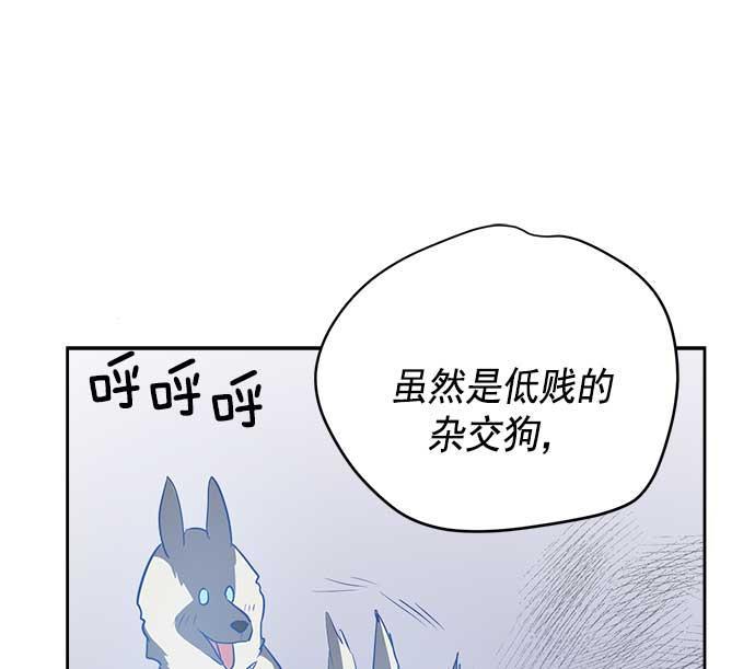 两界双星韩漫全集-第26话无删减无遮挡章节图片 