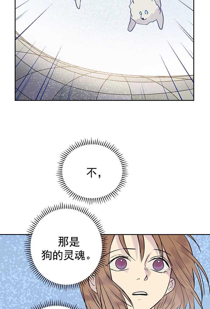 两界双星韩漫全集-第27话无删减无遮挡章节图片 