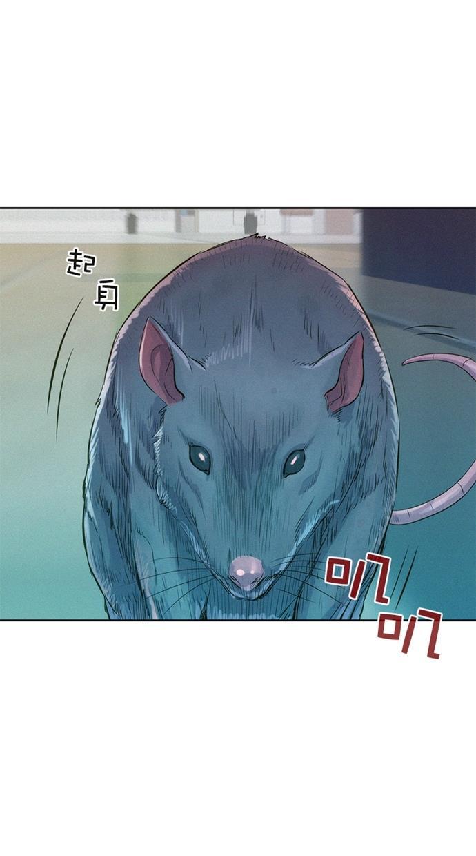 3cm猎手韩漫全集-第5话无删减无遮挡章节图片 