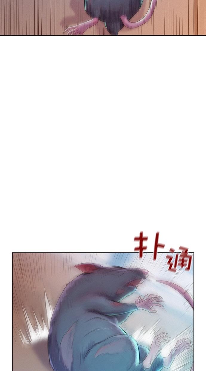 3cm猎手韩漫全集-第5话无删减无遮挡章节图片 