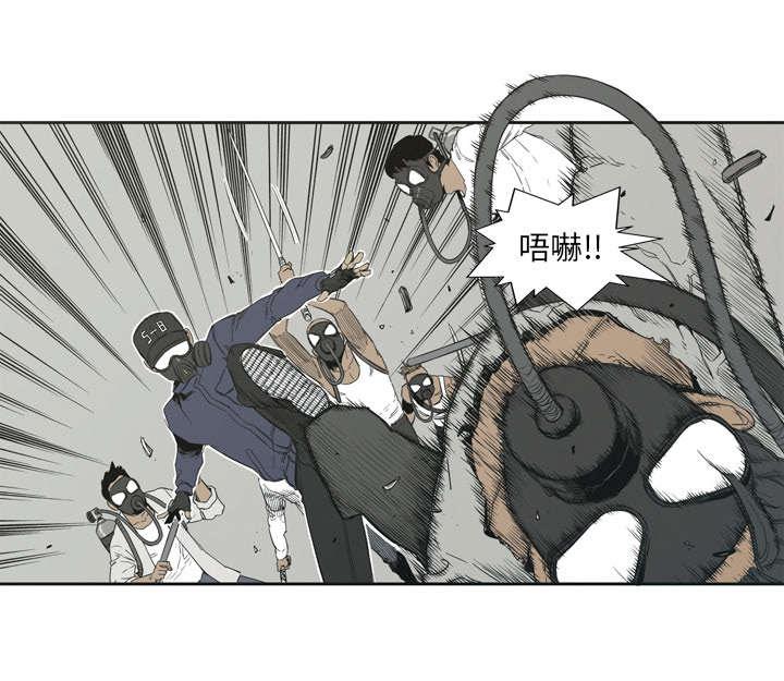 乱世邮差韩漫全集-2_危险职业无删减无遮挡章节图片 