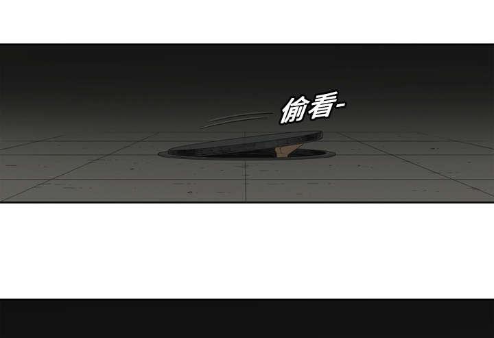 乱世邮差韩漫全集-5_地下拳击场无删减无遮挡章节图片 