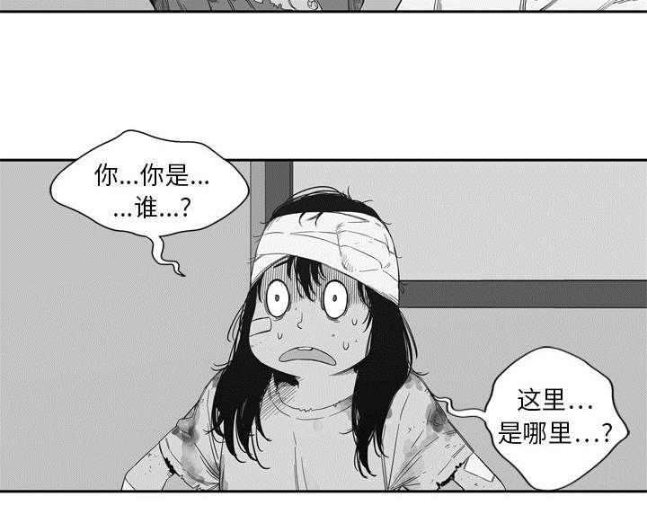乱世邮差韩漫全集-15_一起生活无删减无遮挡章节图片 