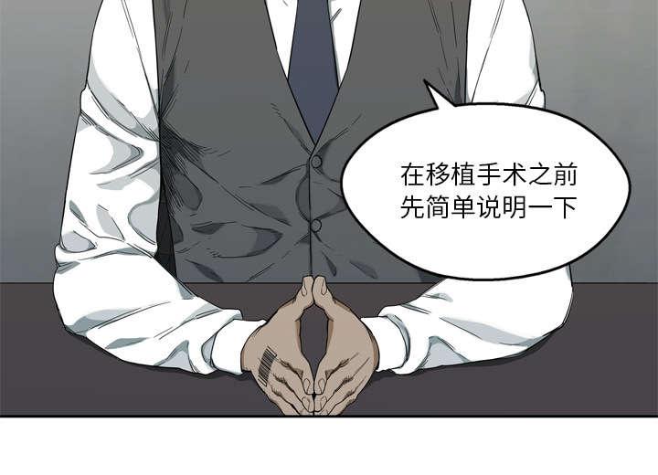 乱世邮差韩漫全集-21_移植手术无删减无遮挡章节图片 