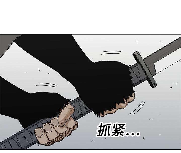 乱世邮差韩漫全集-46_强者无删减无遮挡章节图片 
