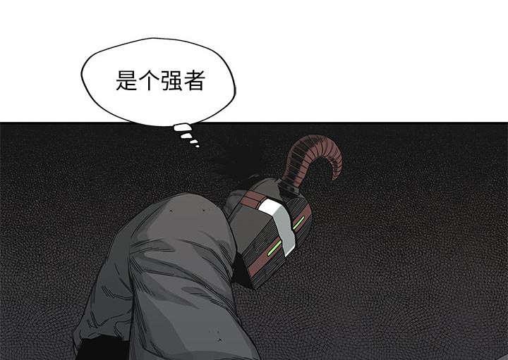 乱世邮差韩漫全集-46_强者无删减无遮挡章节图片 