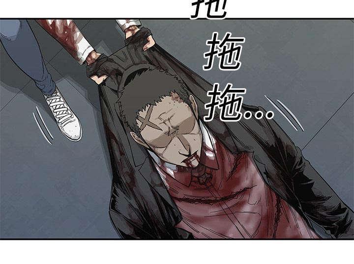 乱世邮差韩漫全集-48_实验体无删减无遮挡章节图片 