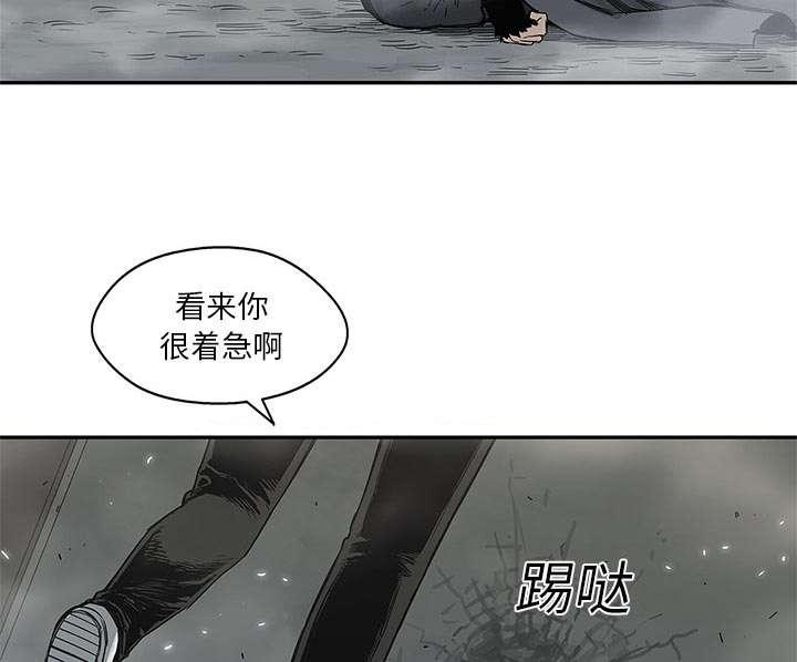 乱世邮差韩漫全集-52_留下一臂无删减无遮挡章节图片 