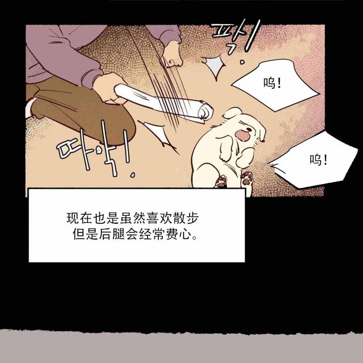 云雨之情韩漫全集-第12话无删减无遮挡章节图片 