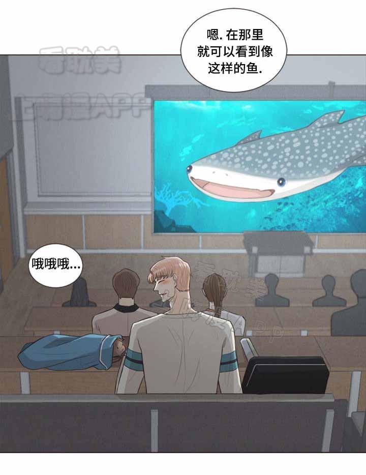 人鬼结界/吸血鬼韩漫全集-第29话无删减无遮挡章节图片 