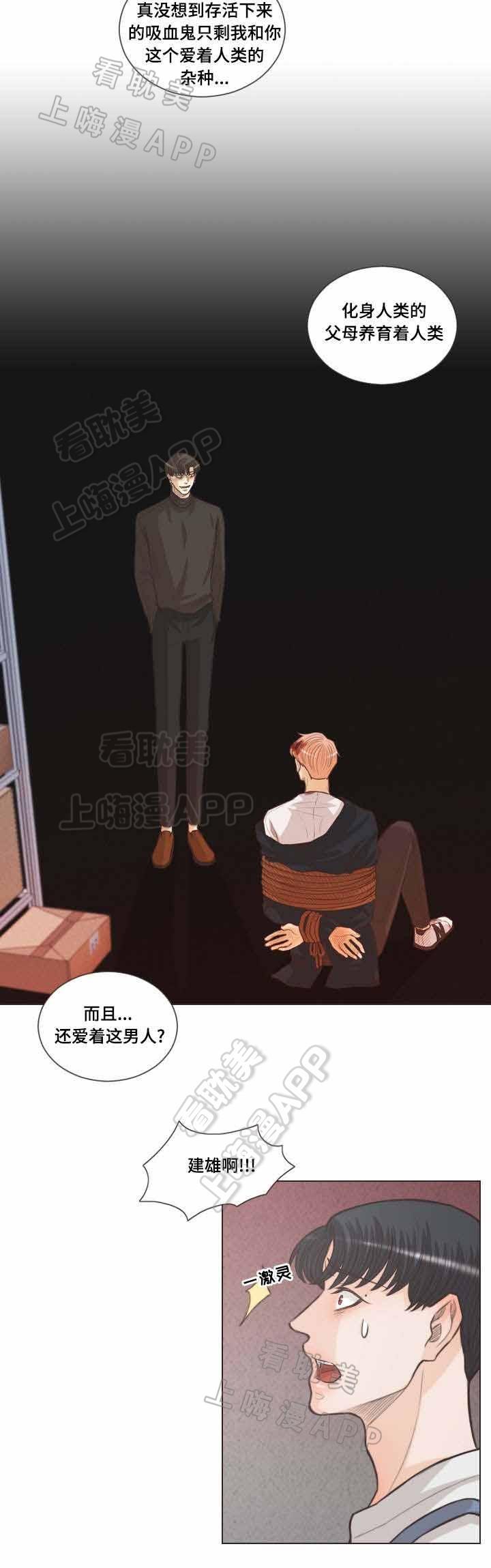 人鬼结界/吸血鬼韩漫全集-第63话无删减无遮挡章节图片 