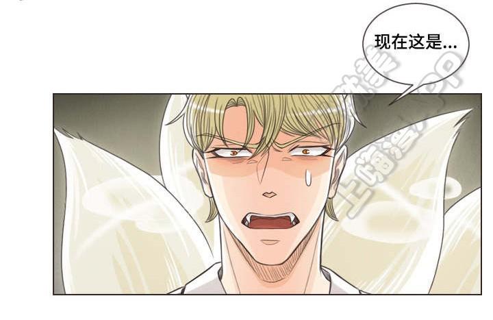 人鬼结界/吸血鬼韩漫全集-第64话无删减无遮挡章节图片 