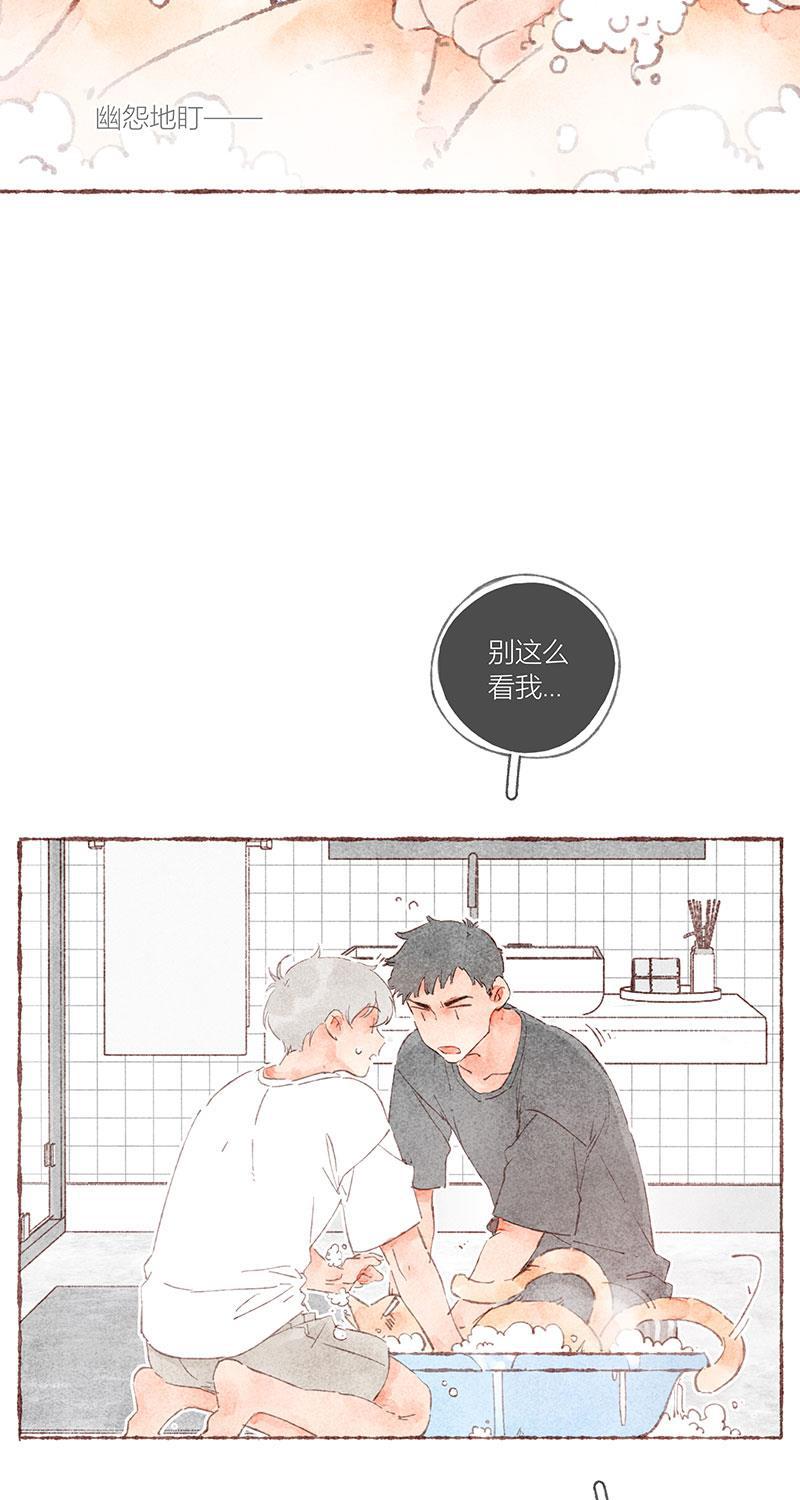 从谎言开始韩漫全集-第38话无删减无遮挡章节图片 