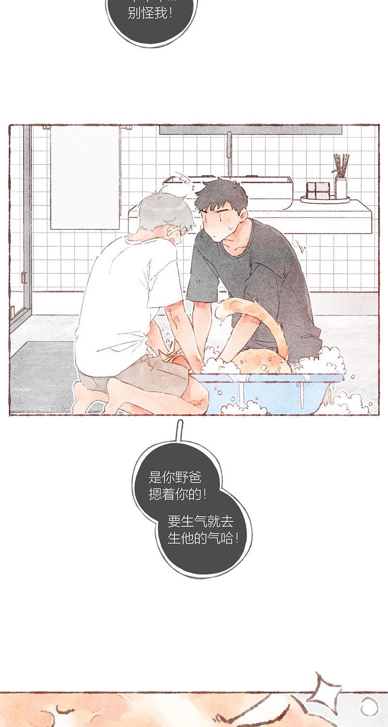 从谎言开始韩漫全集-第38话无删减无遮挡章节图片 