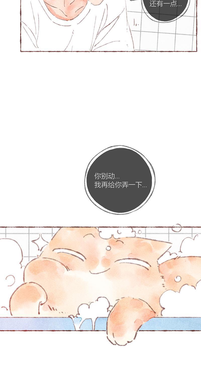 从谎言开始韩漫全集-第38话无删减无遮挡章节图片 