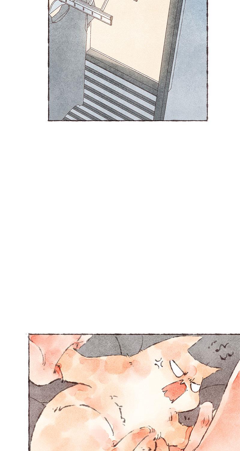 从谎言开始韩漫全集-第37话无删减无遮挡章节图片 