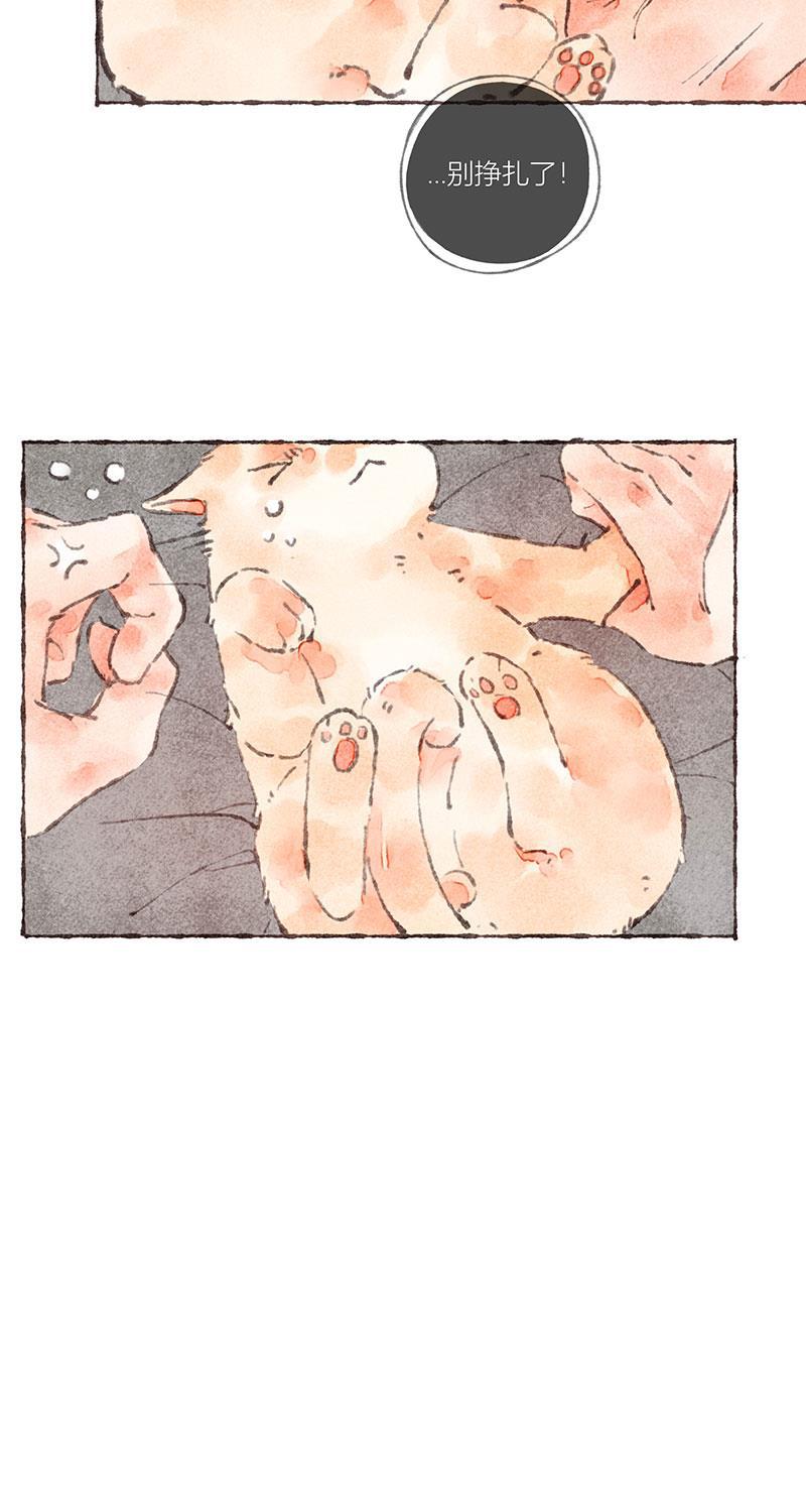 从谎言开始韩漫全集-第37话无删减无遮挡章节图片 