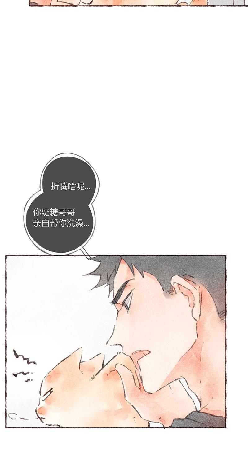 从谎言开始韩漫全集-第37话无删减无遮挡章节图片 