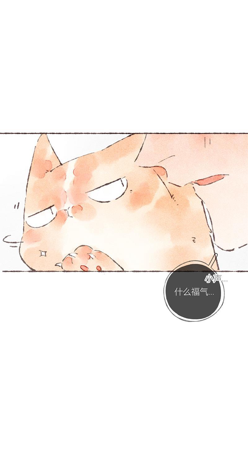 从谎言开始韩漫全集-第37话无删减无遮挡章节图片 