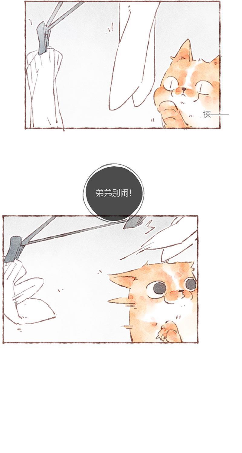 从谎言开始韩漫全集-第33话无删减无遮挡章节图片 