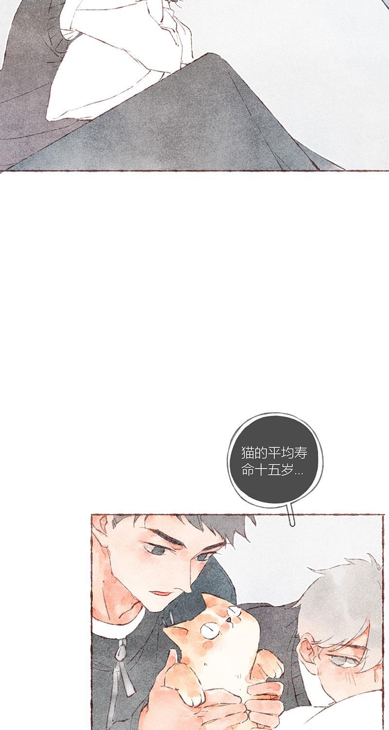 从谎言开始韩漫全集-第36话无删减无遮挡章节图片 
