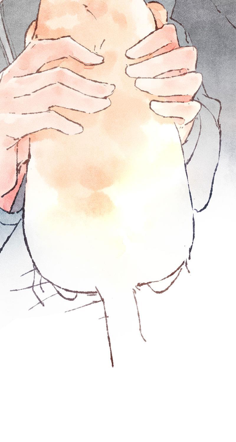 从谎言开始韩漫全集-第36话无删减无遮挡章节图片 