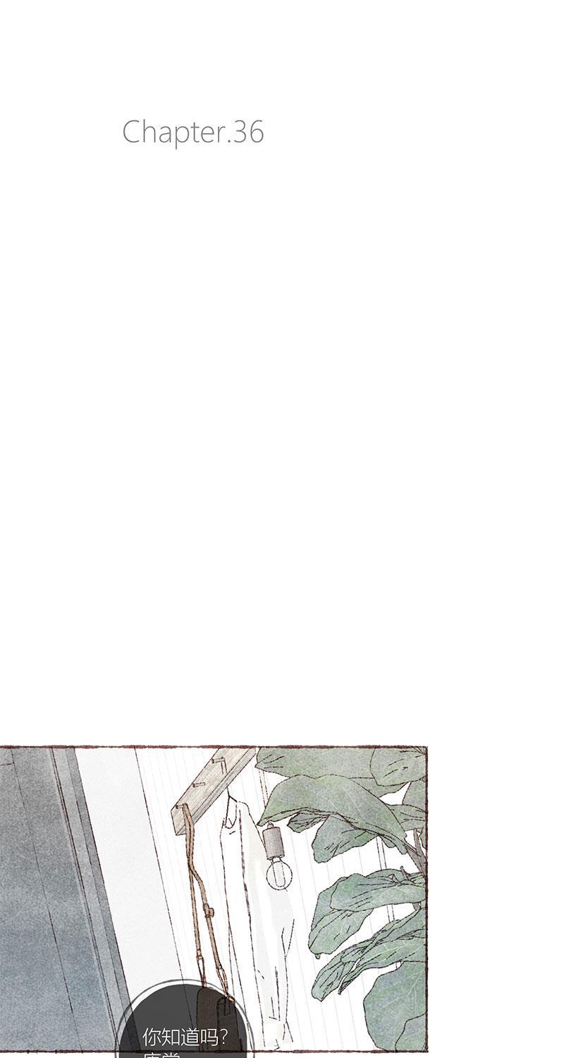 从谎言开始韩漫全集-第36话无删减无遮挡章节图片 