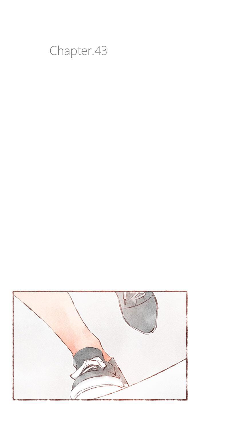 从谎言开始韩漫全集-第43话无删减无遮挡章节图片 