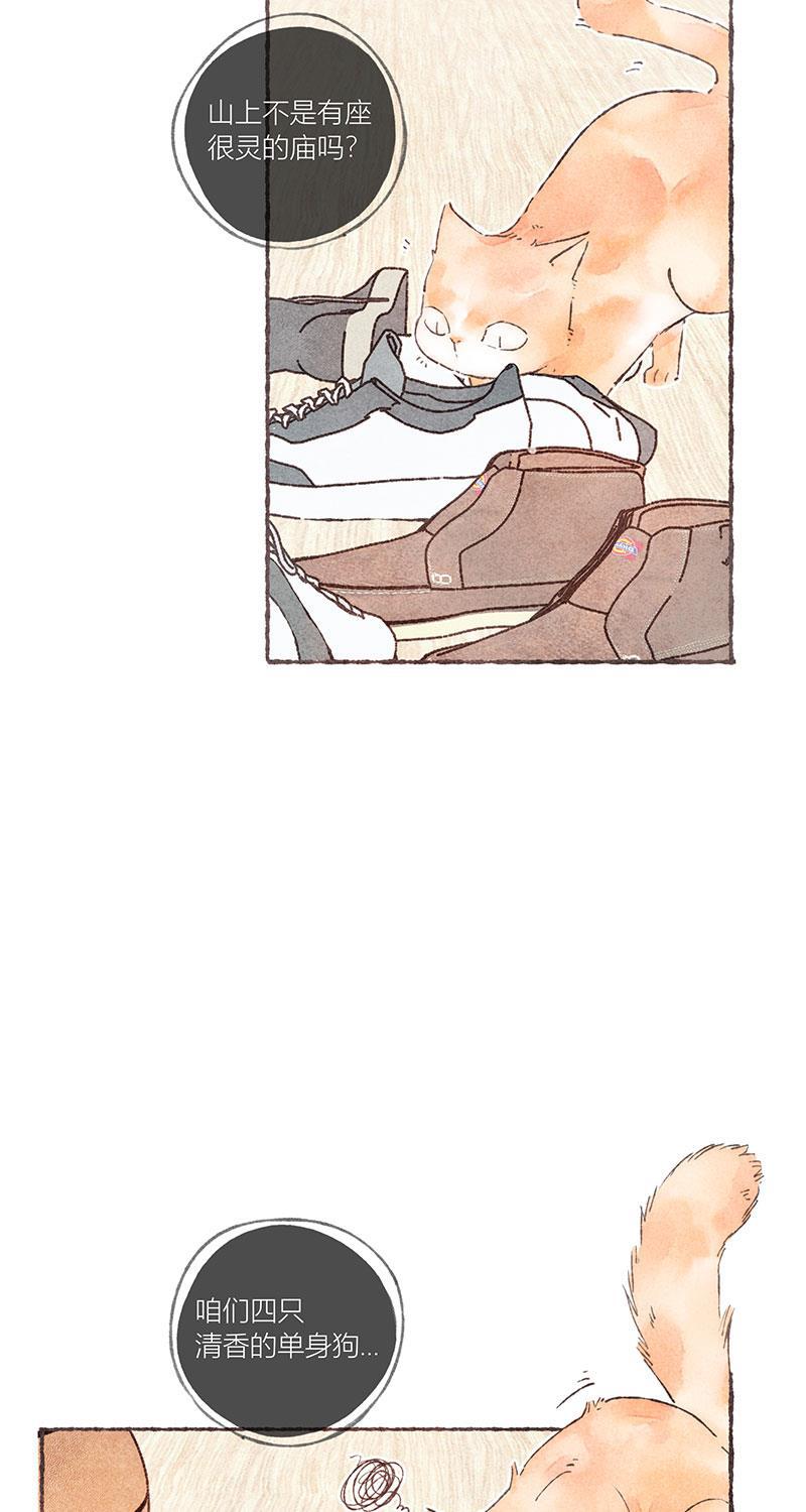 从谎言开始韩漫全集-第47话无删减无遮挡章节图片 