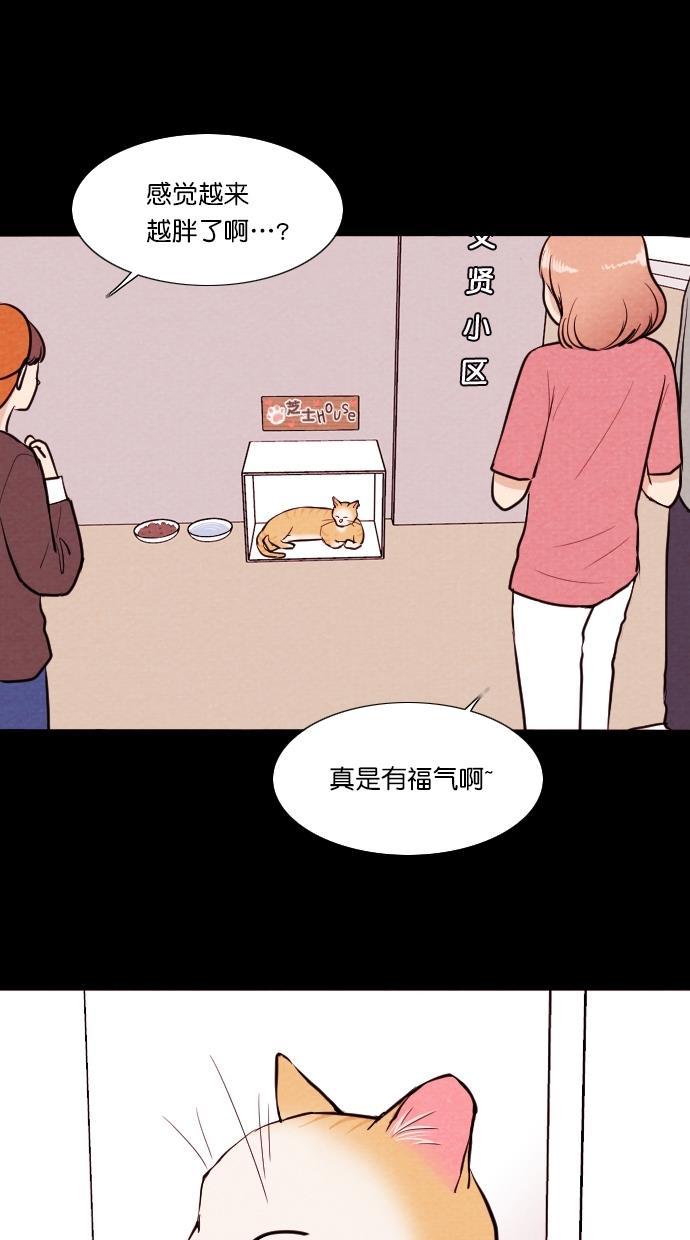代价贩卖机韩漫全集-[第75话] 流浪猫（5）无删减无遮挡章节图片 