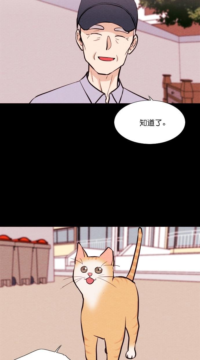 代价贩卖机韩漫全集-[第75话] 流浪猫（5）无删减无遮挡章节图片 