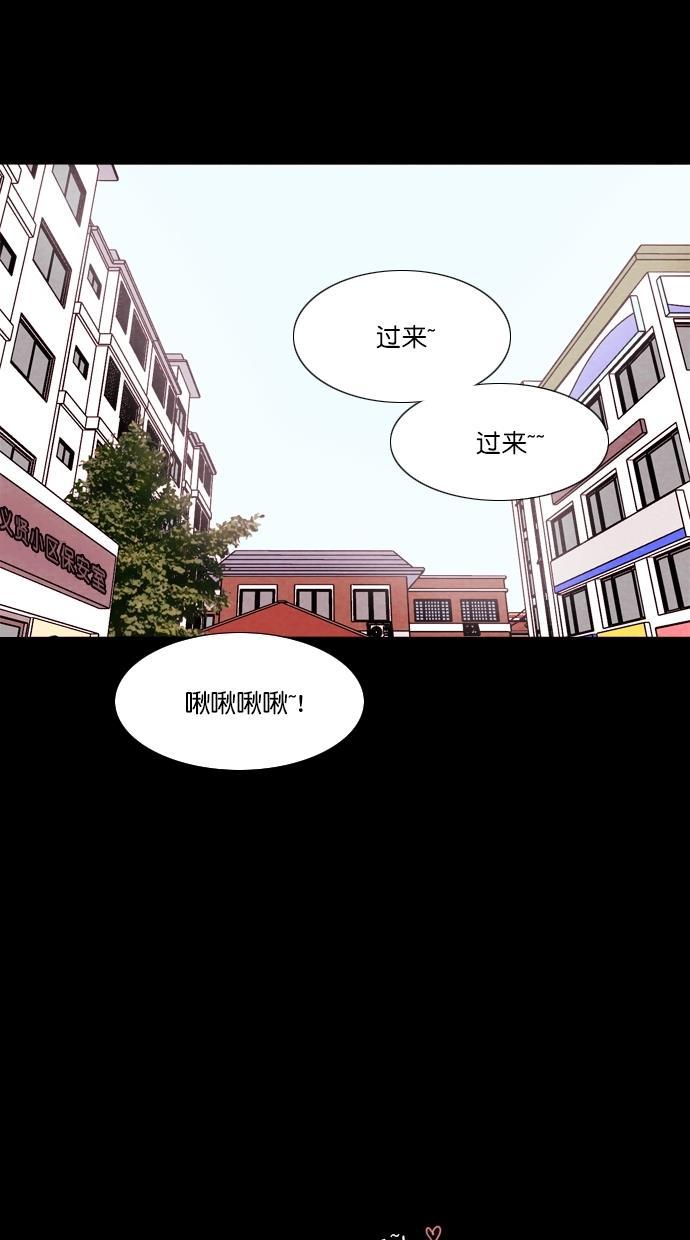 代价贩卖机韩漫全集-[第75话] 流浪猫（5）无删减无遮挡章节图片 