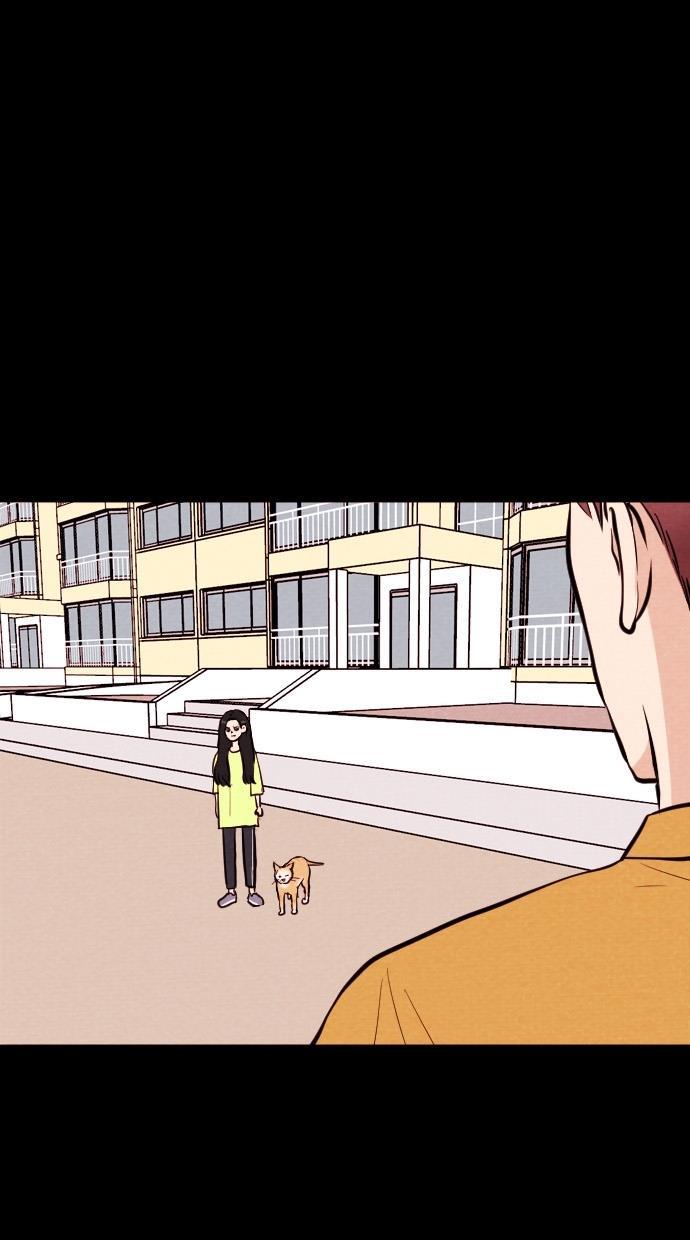 代价贩卖机韩漫全集-[第74话] 流浪猫（4）无删减无遮挡章节图片 