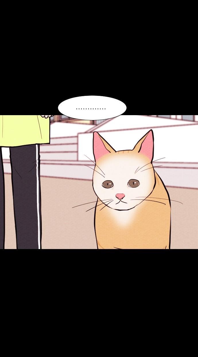 代价贩卖机韩漫全集-[第74话] 流浪猫（4）无删减无遮挡章节图片 